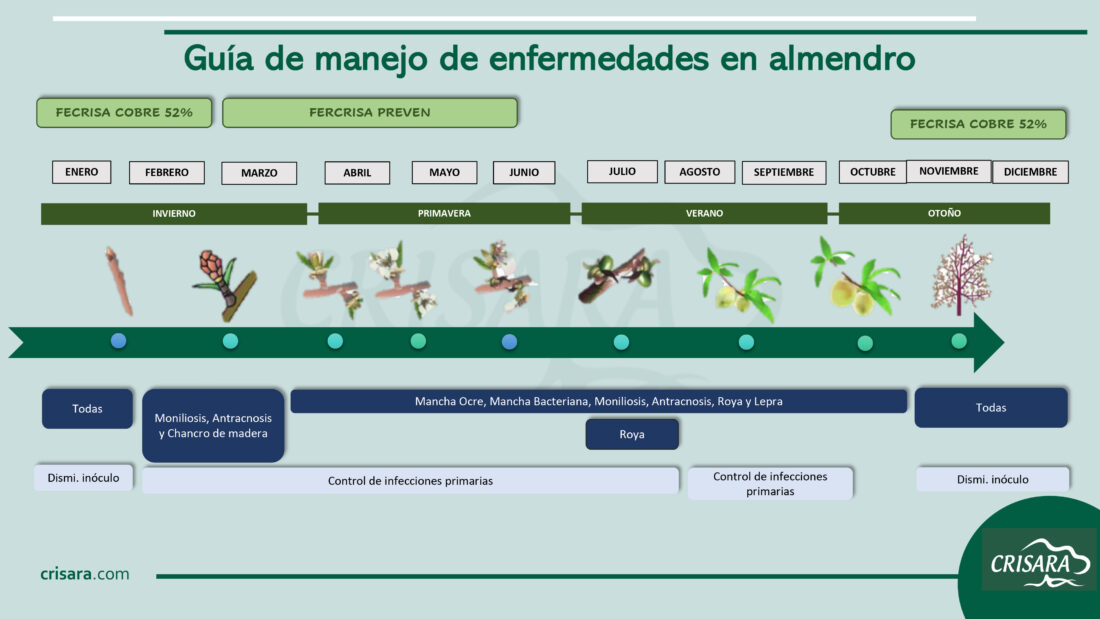 guias-de-manejo-y-control-de-plagas-del-almendro-crisara