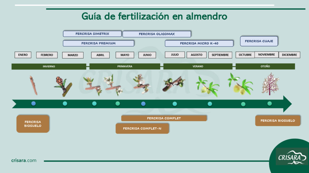 Guía de fertilización de Almendro