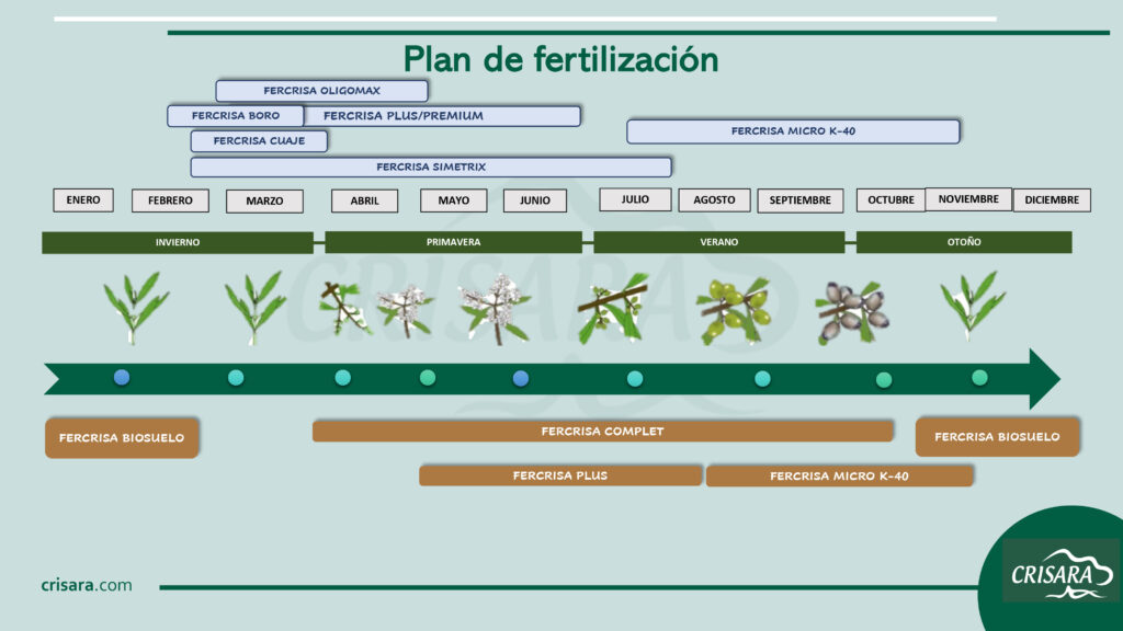 Plan de fertilización de Olivar orgánico y Biológico.