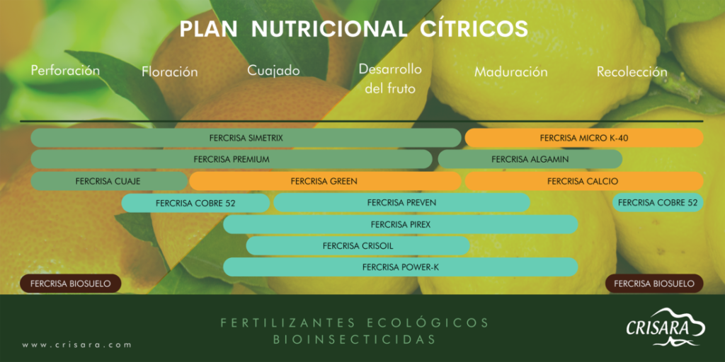 Plan Nutricional de Cítricos con productos orgánicos y biológicos.